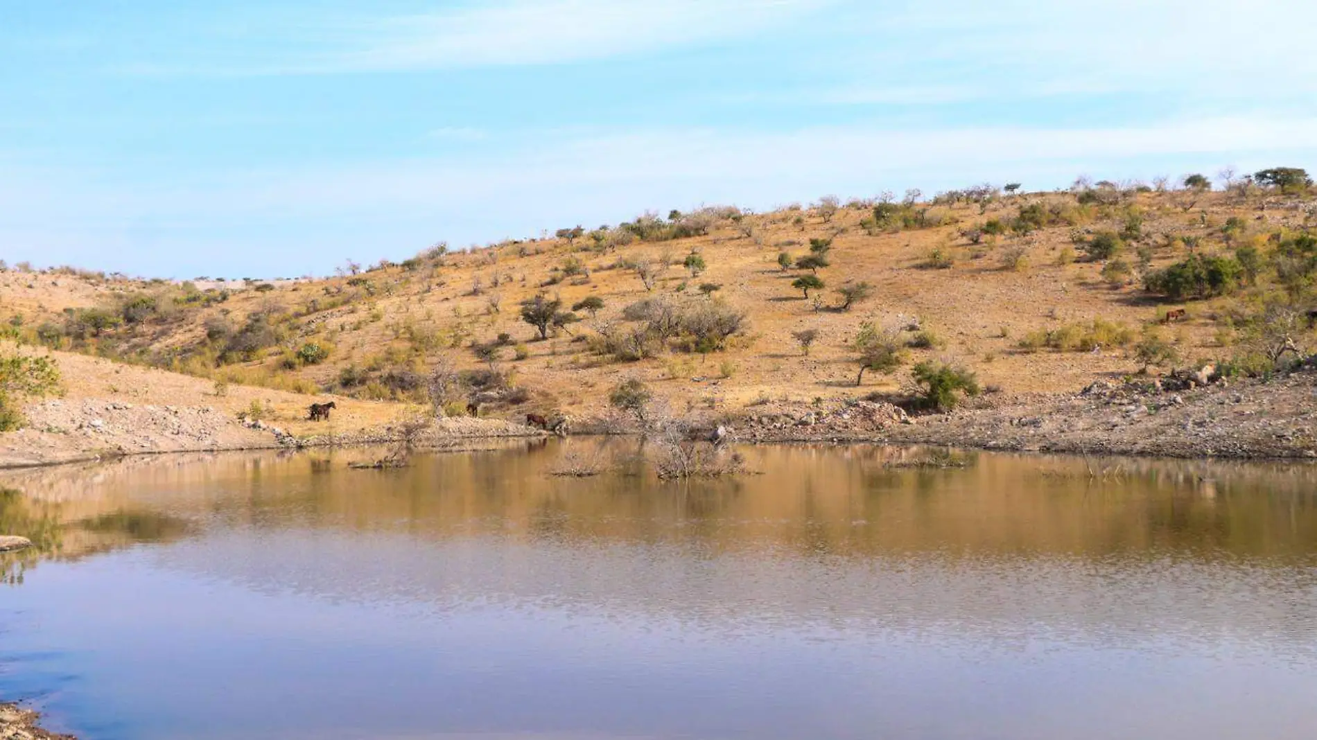 captación-de-agua (2)